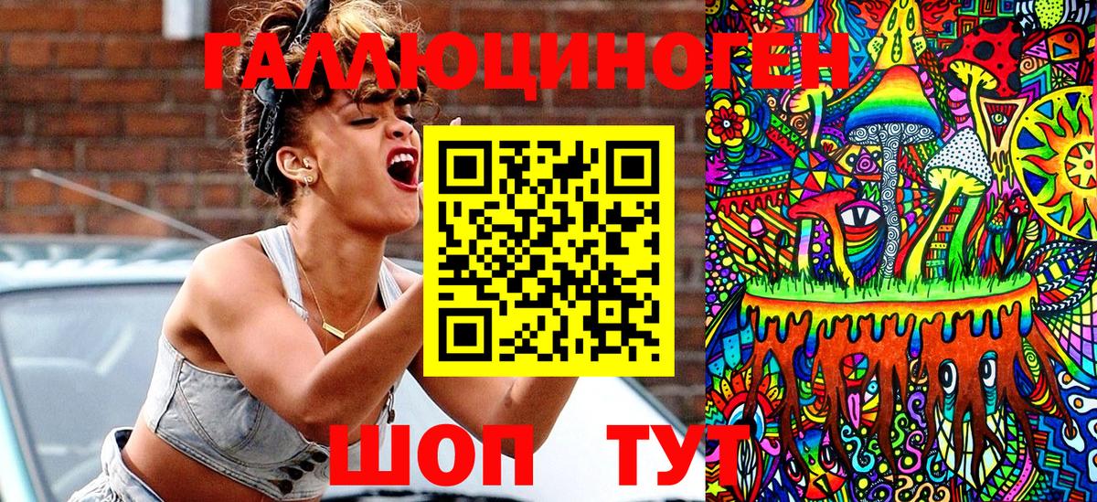 где купить наркотик  Галлюциногенные грибы GOLDEN TEACHER  Иркутск  Вход с VPN  Псилоцибиновые грибы Cubensis 