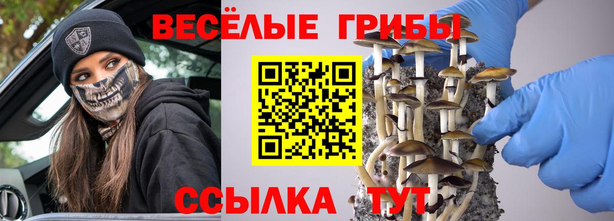 Псилоцибиновые грибы Cubensis Иркутск